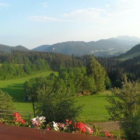 Hofer Familie Gabbichler Appartement Sankt Kathrein am Offenegg Buitenkant foto