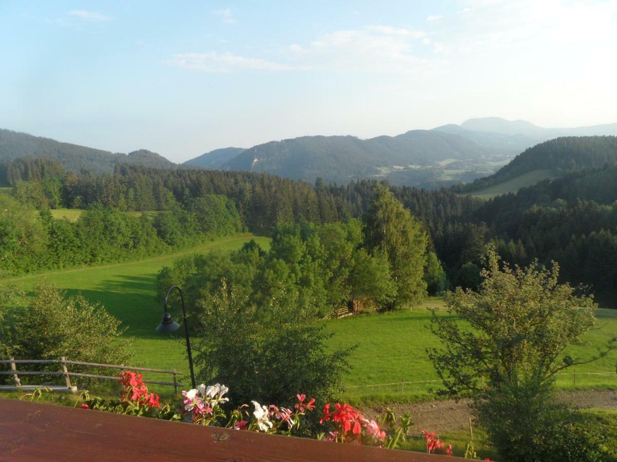 Hofer Familie Gabbichler Appartement Sankt Kathrein am Offenegg Buitenkant foto